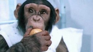 Друзья навещают захворавшую Доню! Фрагменты из фильма "Украли зебру". 1972 г.