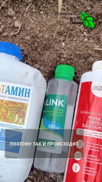 САД и ОГОРОД В ОПАСНОСТИ: заморозки уничтожат ВСЁ! Защита от возвратного холода.