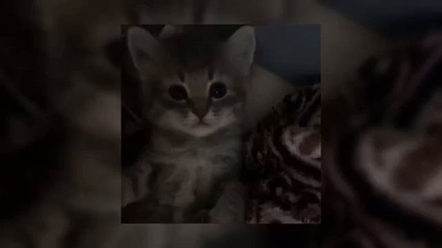 плейлист 🎧 старых песен ( speed up ) часть 1