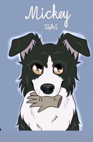 трансляция разговор