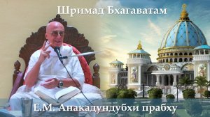 08.04.2026 || Шримад Бхагаватам 11.7.19 || Е.М. Анакадундубхи прабху