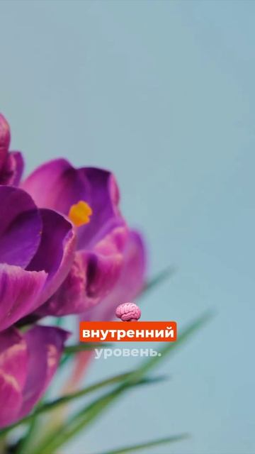 Что значат сны_ где ты падаешь или летаешь_