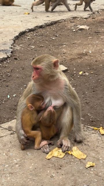 Летающие машины в ночном городе #научнаяфантастика #городбудущего #путешествие
