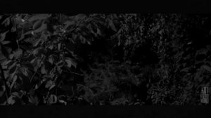 РУКИ-КРЮКИ... Страшные истории на ночь.