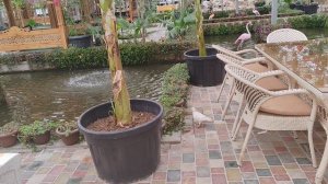 ботанический парк в пригороде Бухары 01.04.2026 🏞️