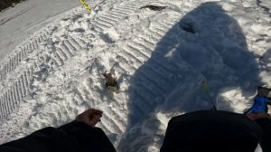 Незапланированная рыбалка | Хариус