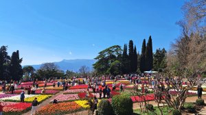 Великолепный Парад тюльпанов в Никитском Ботаническом саду