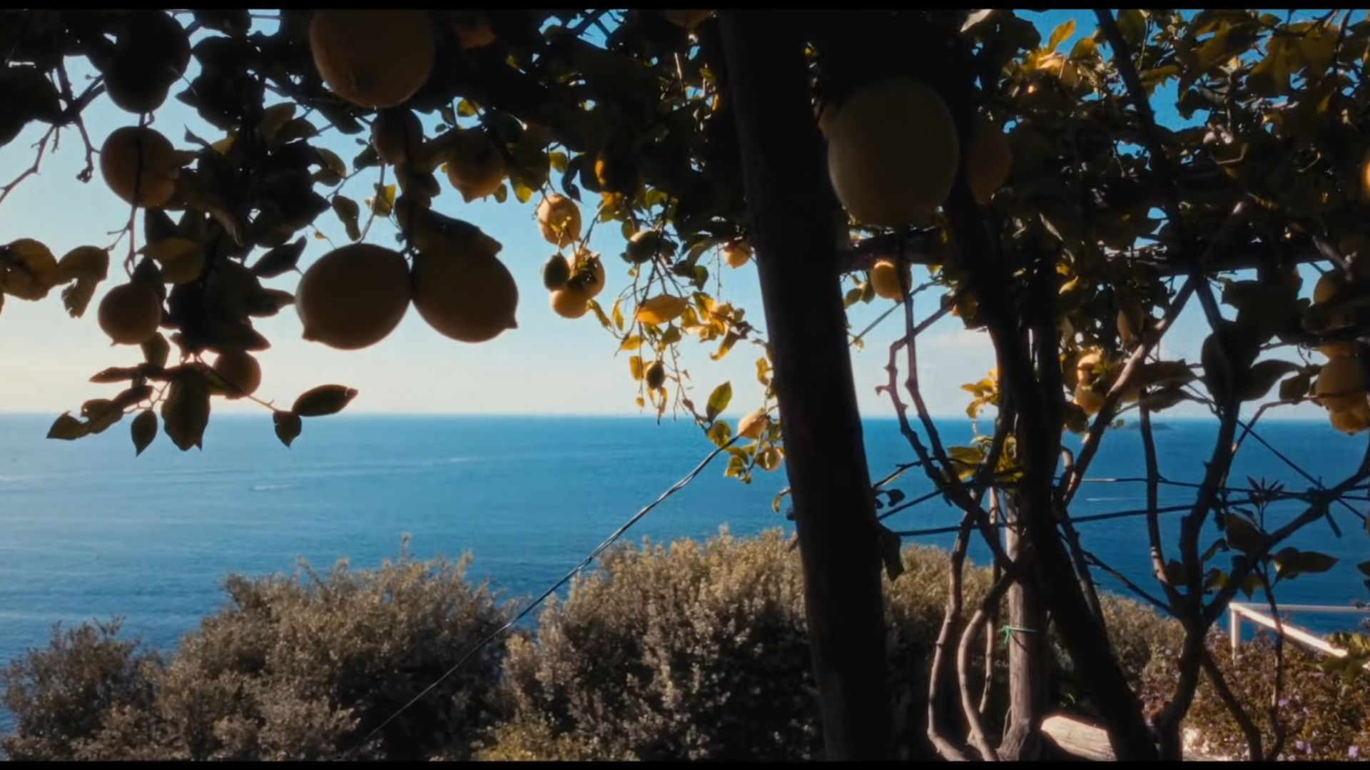 Blank  Jones - Sea Dreamin