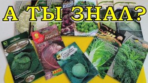 9 ТОП видов КАПУСТЫ различия в уходе🥦🥦🥦