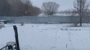 ❄️А у нас зима вернулась ❄️ 10.04.26