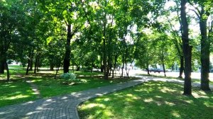 Тестовая трансляция