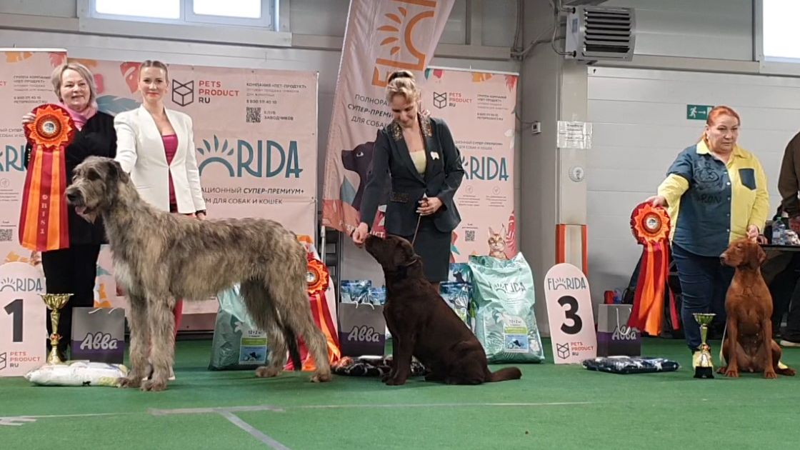 04.04.2026, СПб. Клуб 