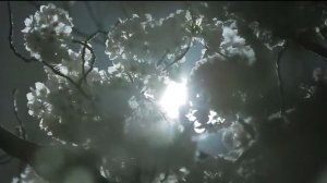 Снятие негатива .