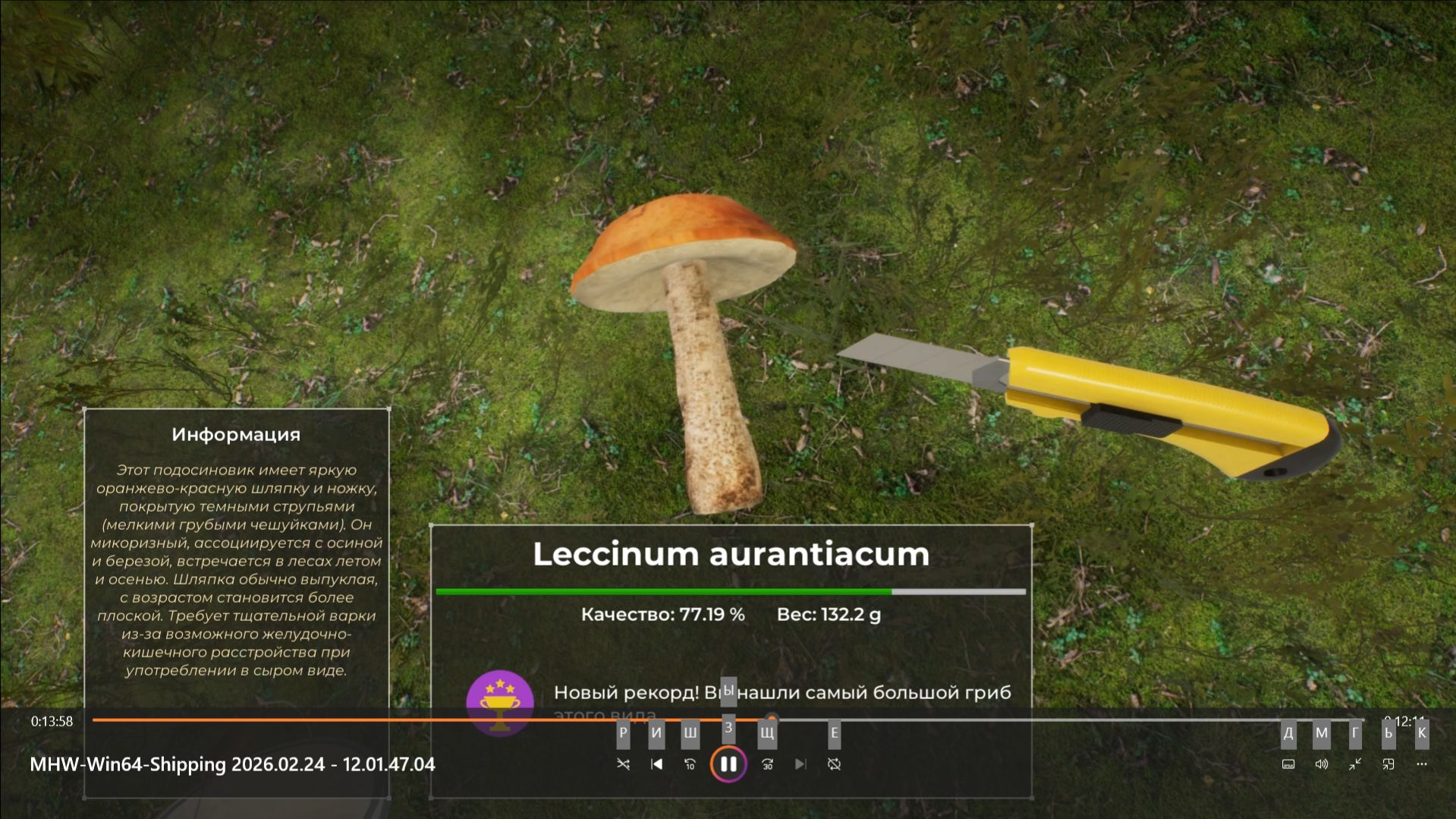 Mushroom Hunter World.#2-Старый карьер-задача 1: