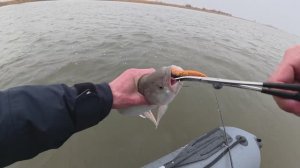 ДУМАЛ ЗАЦЕПИЛ ЗА КОРЯГУ, А ОНА ОЖИЛА Попали под дождь, но рыбы наловили!