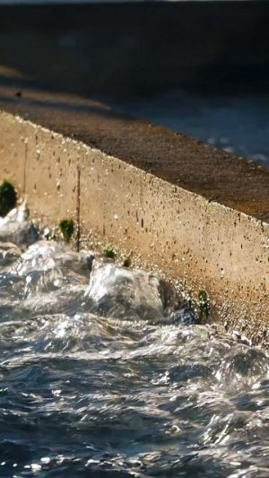 Бизнес на рыбе 2026: полный выпуск на канале  #рыба #рыбоводство #бизнес #эко #ферма