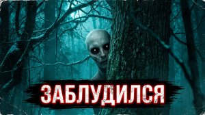 КТО ВЕЗ МЕНЯ ДОМОЙ? Страшные истории на ночь