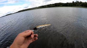 Твичинг воблеров.  Воблер на щуку. ALLBLUE Jinbe110SP . Воблер с AliExpress