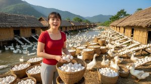 Собираю утиные и куриные яйца для продажи на рынке. Купила личинки шелкопряда и перепродаю. Фуонг