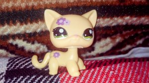 Littlest Pet Shop Old Сериал: Аквамарин 2 серия 1 сезон