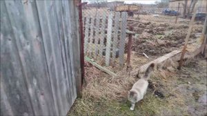 Как 74-летняя Люся из Тарасихи не даёт умереть книжному слову и самим книгам