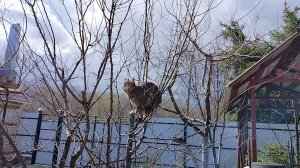 Уборка на хоздворе))