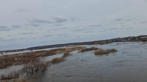 Уровень воды у Звериноголовского на 10.04.2026 год.