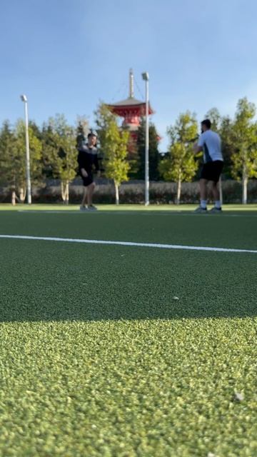 Передачи щекой верхом (начальный  уровень)