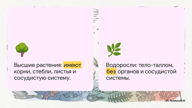 Биология 7 класс параграф 3 ОБЩАЯ ХАРАКТЕРИСТИКА ВОДОРОСЛЕЙ