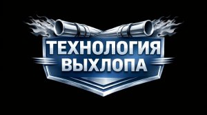 Citroën DS3 - Downpipe, Heat Shild, Pixie Lott