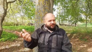 Мухоморный трип репорт на грани смерти, микродозинг не работает, эффект плацебо