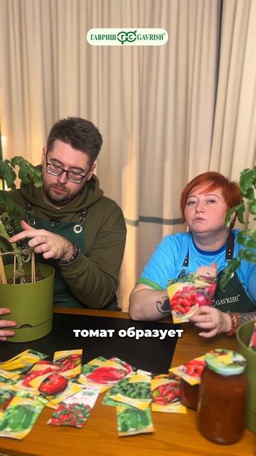 Томатная шпаргалка: все, что надо знать о том, как получить крепкую рассаду томатов!