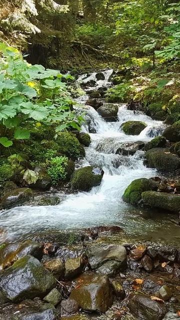 М.Ю. Лермонтов - Когда волнуется желтеющая нива