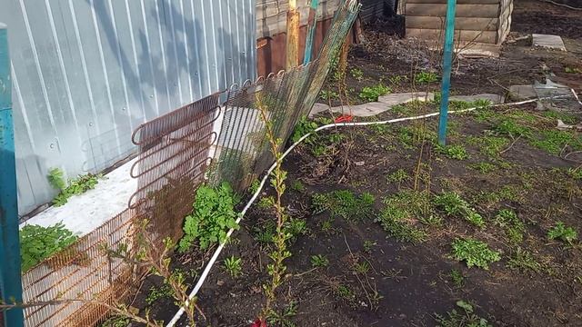 Солнце по небу бежало...Закат.Жду дочь.