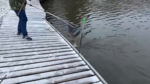 Поимка Форели