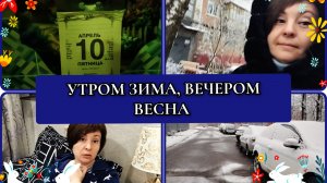 10-04-2026 Зима вернулась//40 дней свекрови//Бархатцы взошли//Ваши комментарии