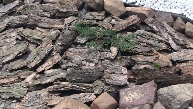 Самоизоляция с пользой