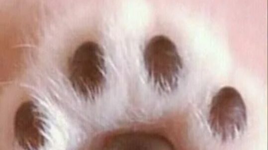 Получилось не очень((