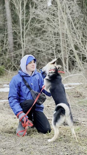 В приют приезжали гости из социального проекта «VПриюте»