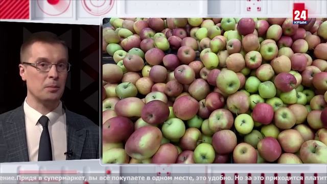 Весенние цены. Страховка от непогоды. Хвостатый отпуск