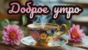 *** ДОБРОГО ВЫХОДНОГО ДНЯ С ПЕСНЕЙ  "ШАЛОСТИ и ГЛУПОСТИ" ***