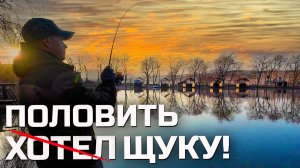 ХОТЕЛ ПОЛОВИТЬ ЩУКУ | НО ОПЯТЬ НАЛОВИЛ ФОРЕЛИ! Безлимит "Драгунская Застава"