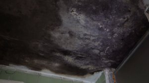 УГОЛОВНОЕ ДЕЛО ПО ДОМУ НА ТЕЛЬМАНА, 24 ВОЗБУДИЛИ И ОТМЕНИЛИ