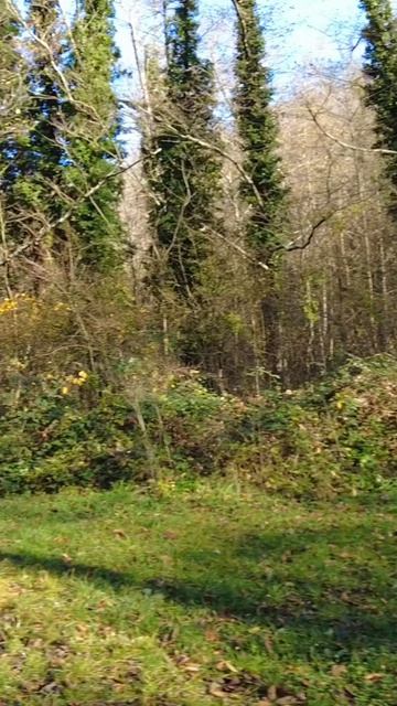 Подробное видео #166
в открытом доступе
на канале
Пойдем со Мной на
RuTube #пшада #юг #дольмены