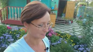 Видео привет с 6 соток 17 августа 2021 года