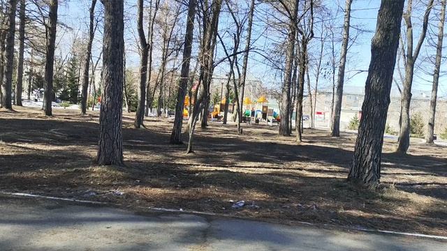 Домашние хлопоты