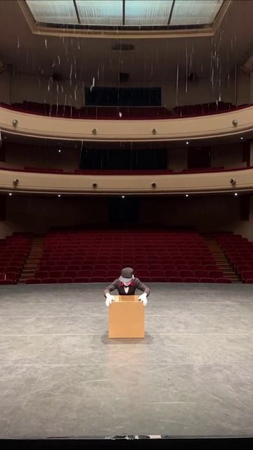 Тайны театра: кукольный спектакль в пустом зале #театр #кукол #искусство