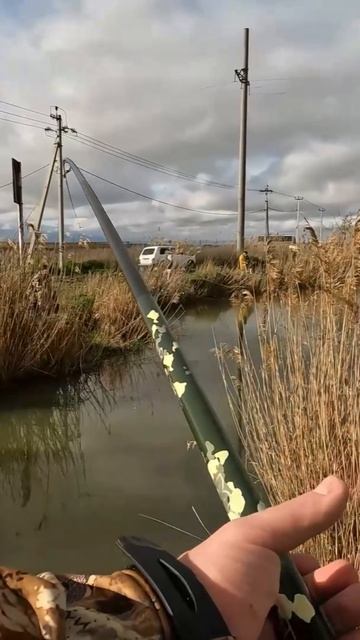 Карась на боковой кивок.