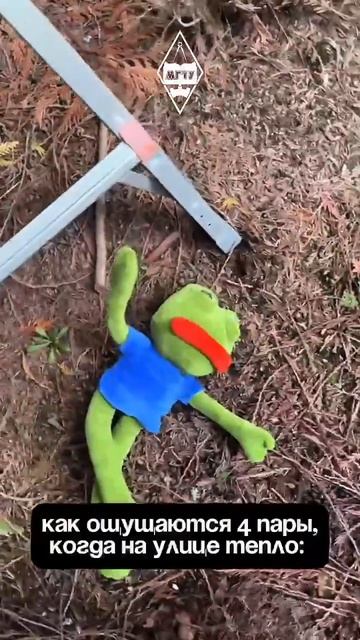 Та самая грань между «хочу в сквер» и «надо на пару»