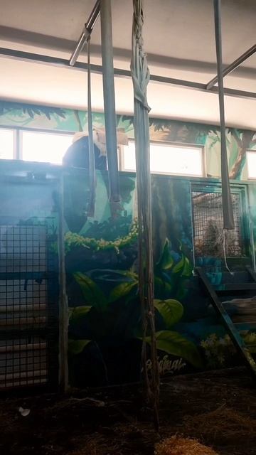 Когда устал от всех 😀